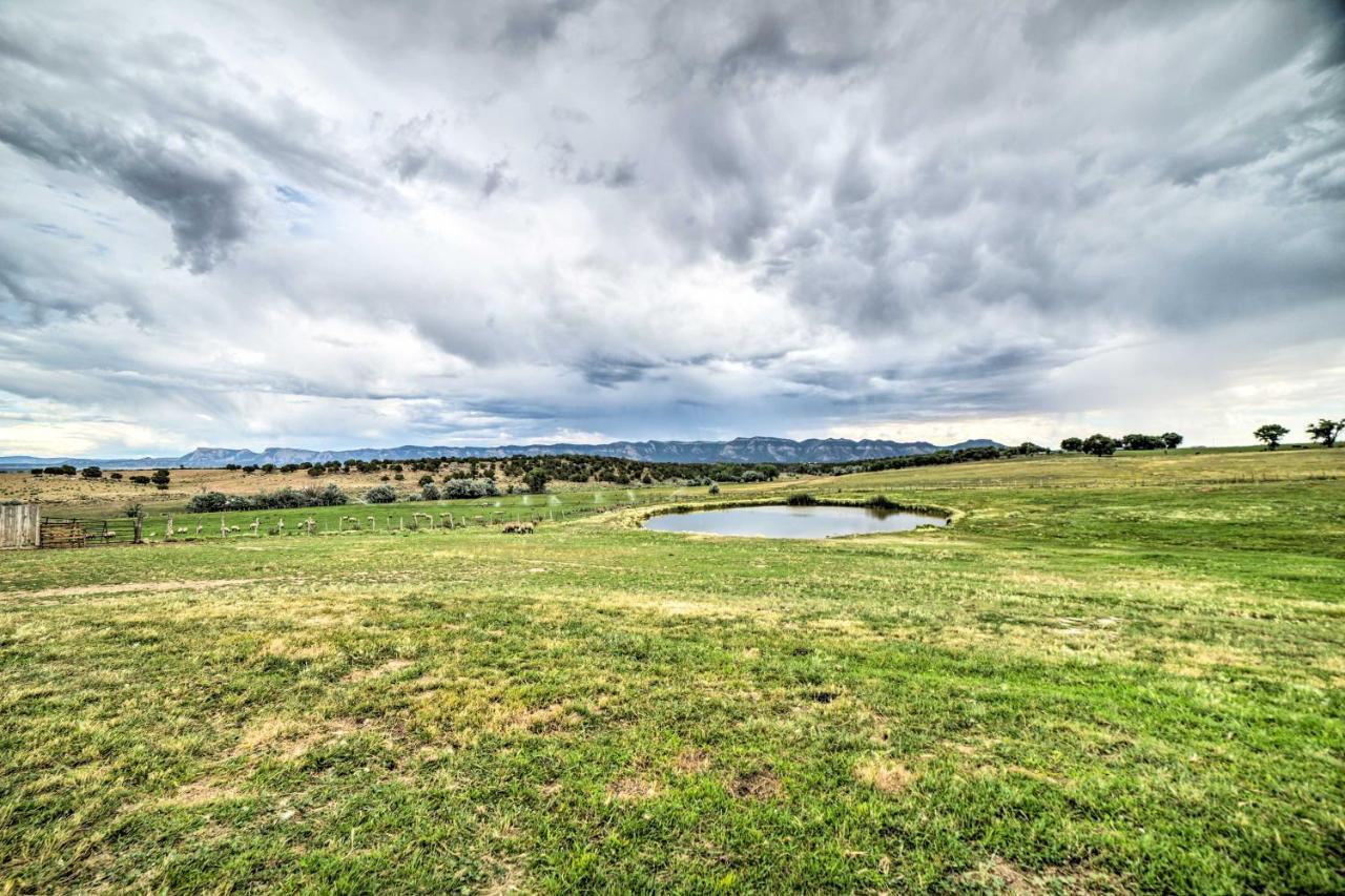 Walkout Apartment With Mtn View On Cortez Ranch Extérieur photo